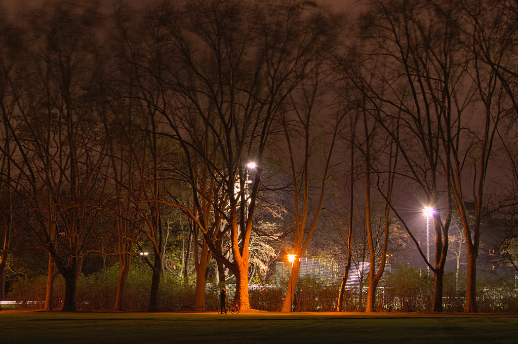 nigth alley