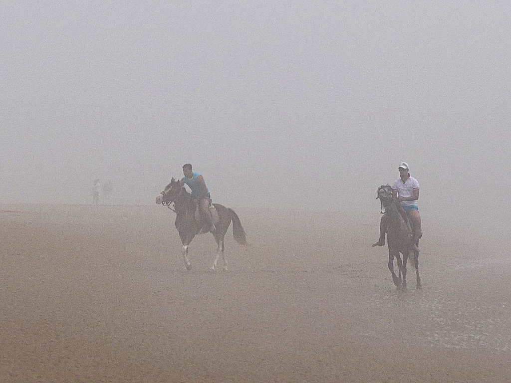 foggy beach 4