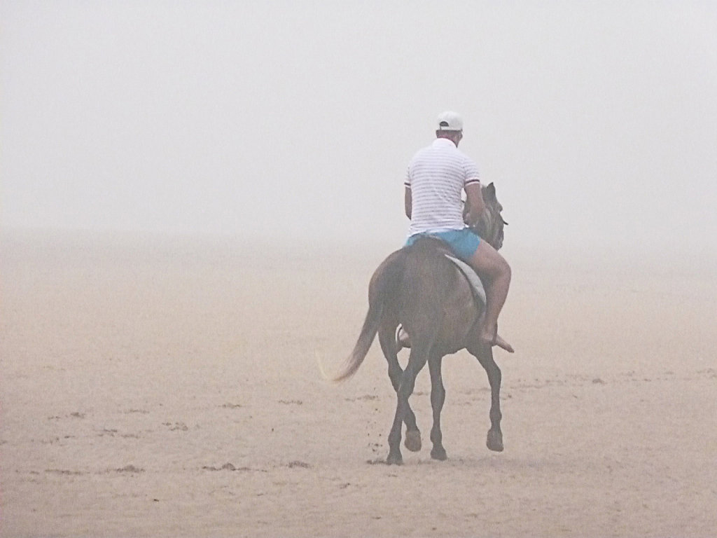 foggy beach 5